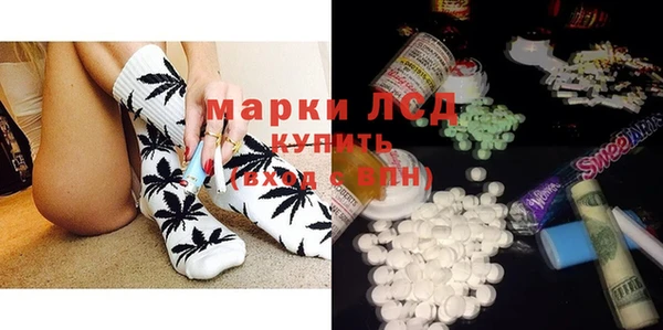 спиды Аркадак