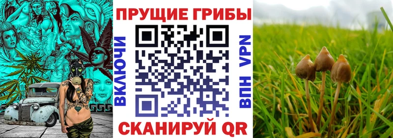 Галлюциногенные грибы ЛСД  даркнет клад  Сердобск 