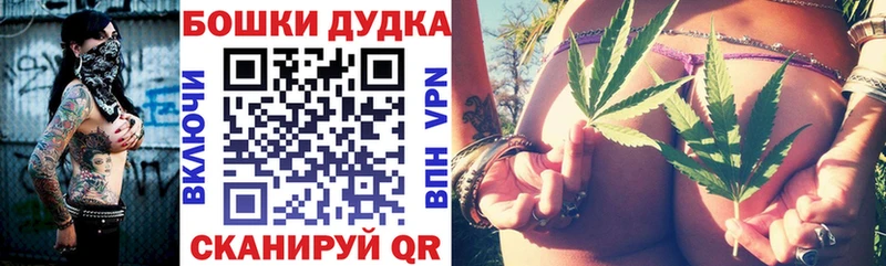 где можно купить наркотик  Сердобск  Бошки Шишки SATIVA & INDICA 